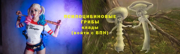 индика Алексеевка