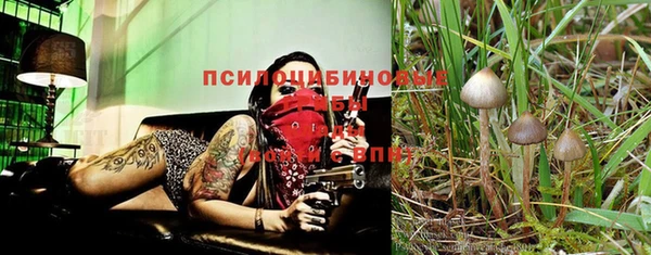 индика Алексеевка