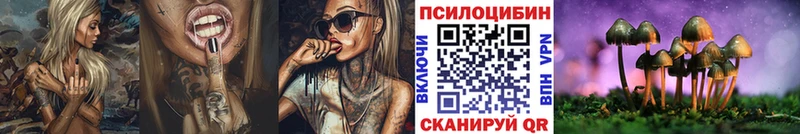Псилоцибиновые грибы Psilocybe  Бодайбо 