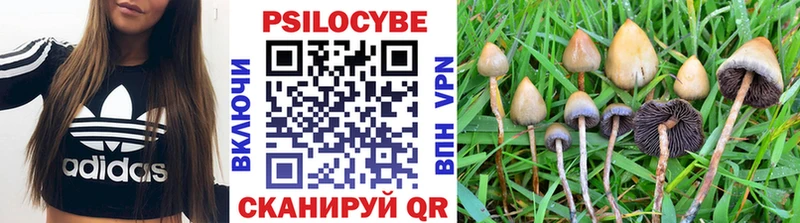 Псилоцибиновые грибы прущие грибы Бодайбо
